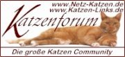 Katzenlinks